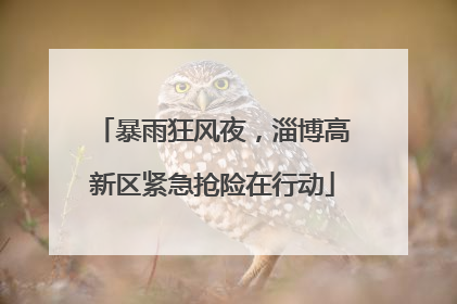 暴雨狂风夜，淄博高新区紧急抢险在行动